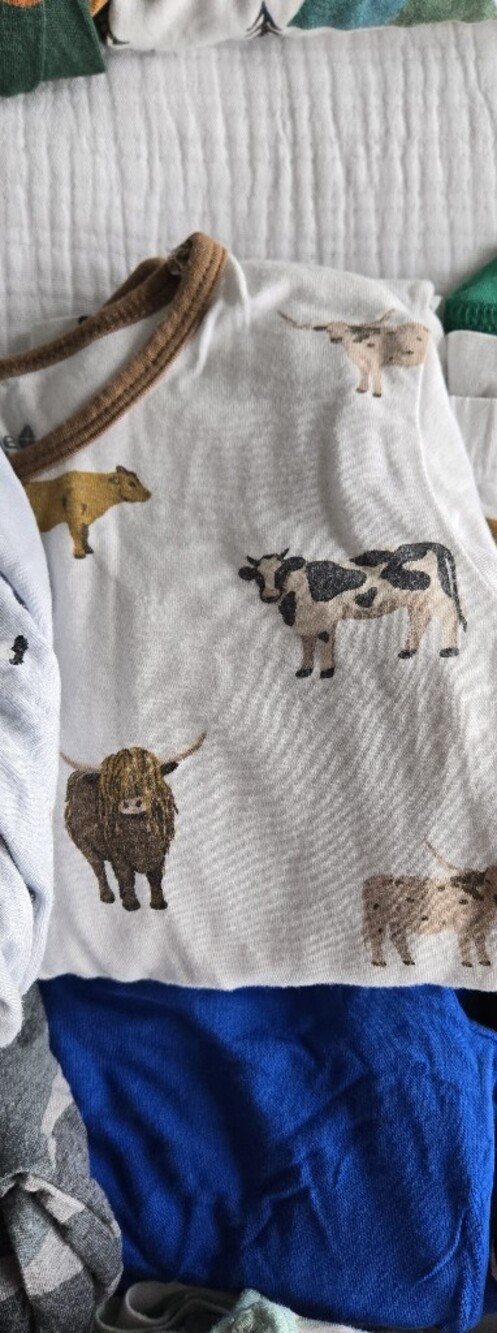 Kyte Baby Long Sleeve Pajamas in Moo — 3T | EUC